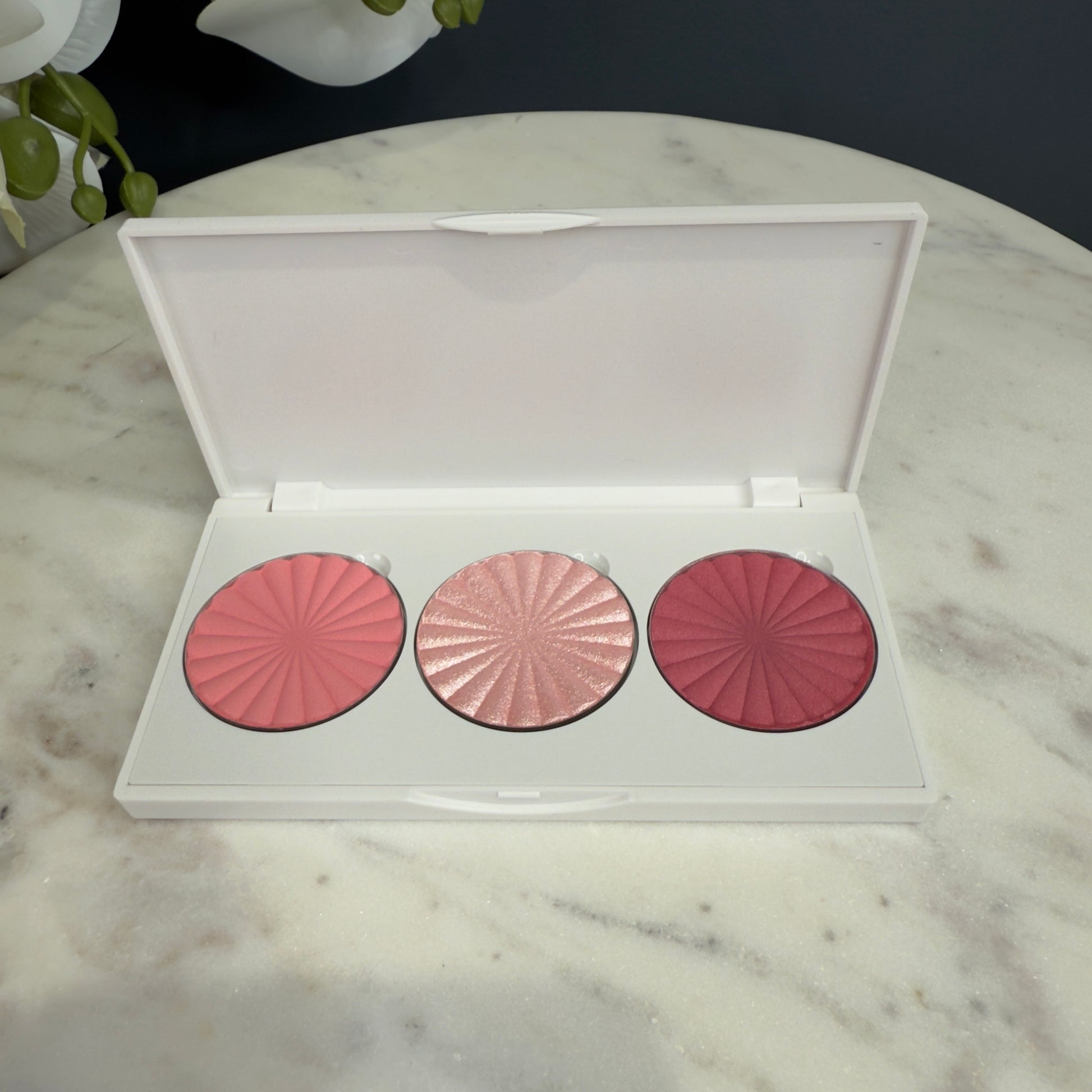 Palette Midi OFRA Cosmetics – Blush Blossom